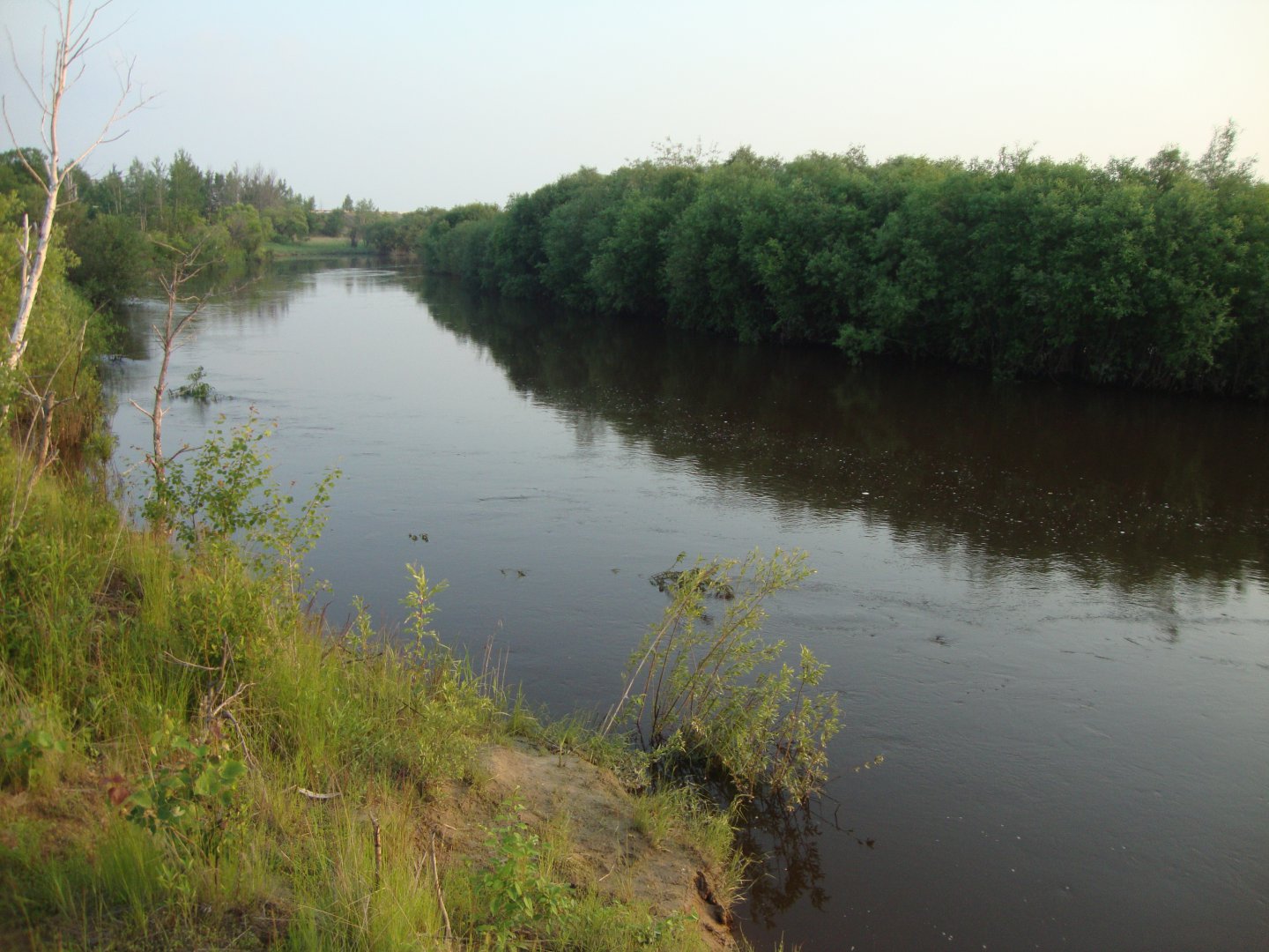 DSC09223.JPG