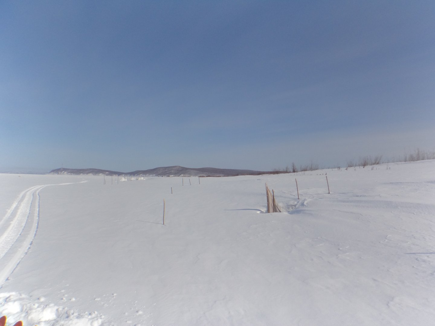 DSC09226.JPG
