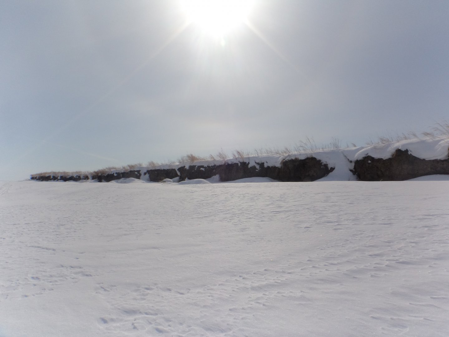 DSC09245.JPG