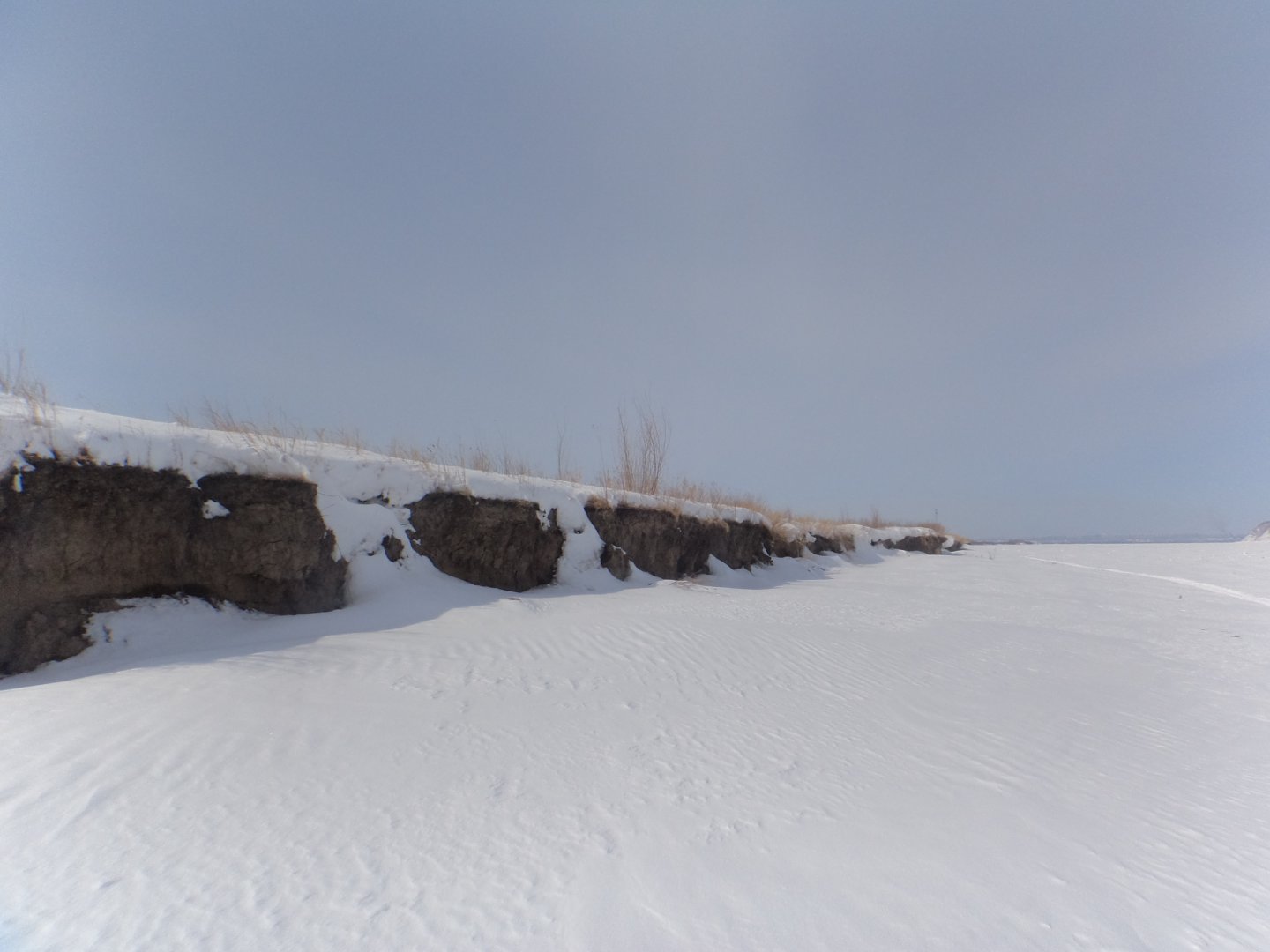 DSC09246.JPG