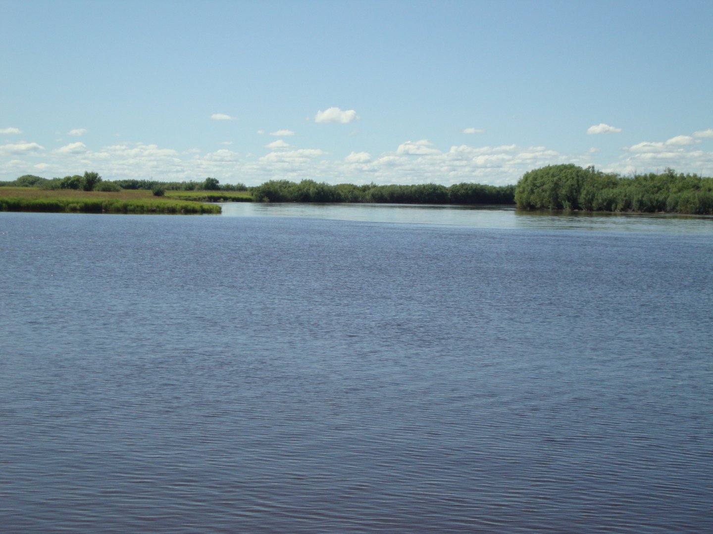 DSC09289.JPG