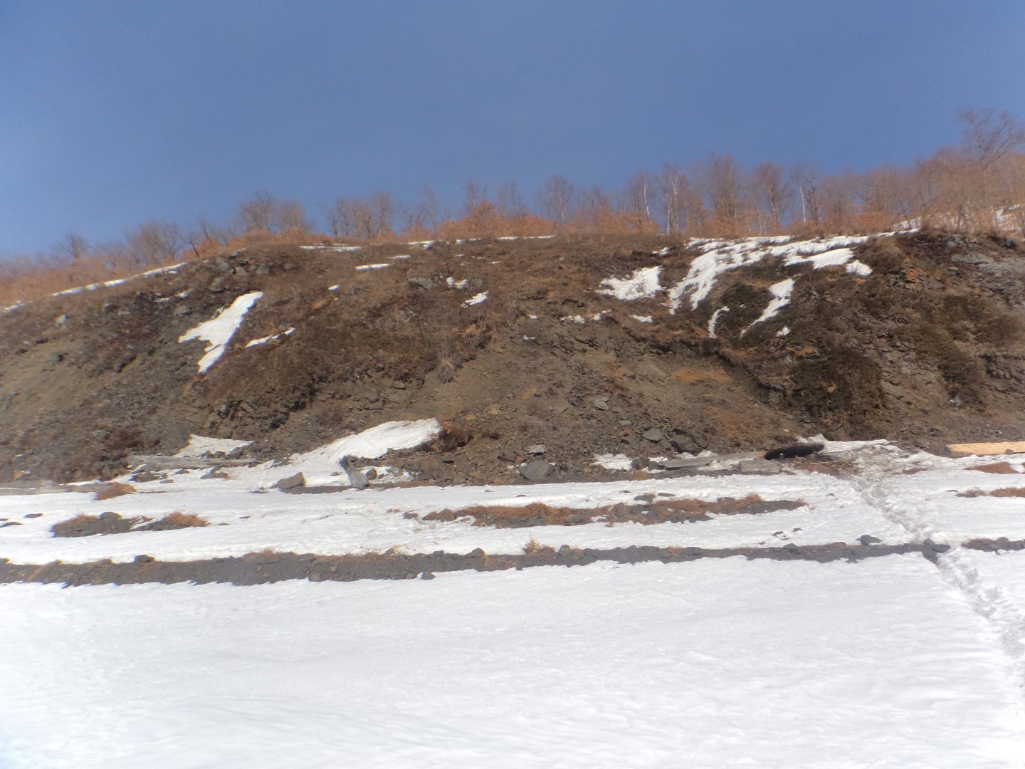 DSC09292.JPG