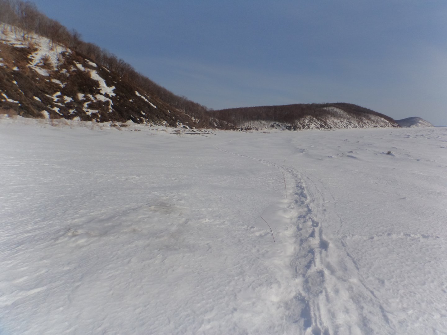 DSC09295.JPG