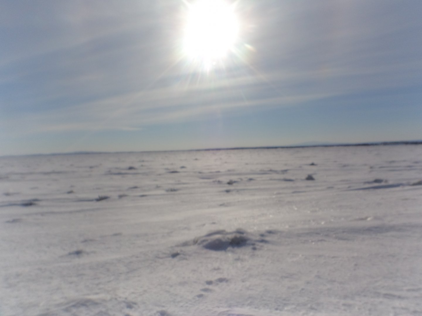 DSC09296.JPG