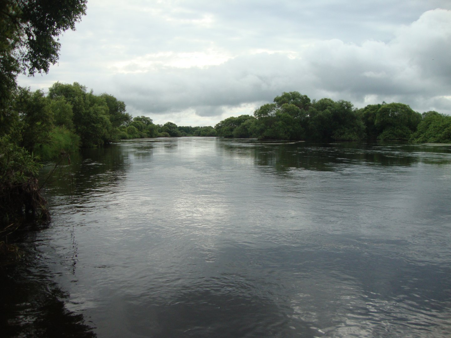 DSC09320.JPG