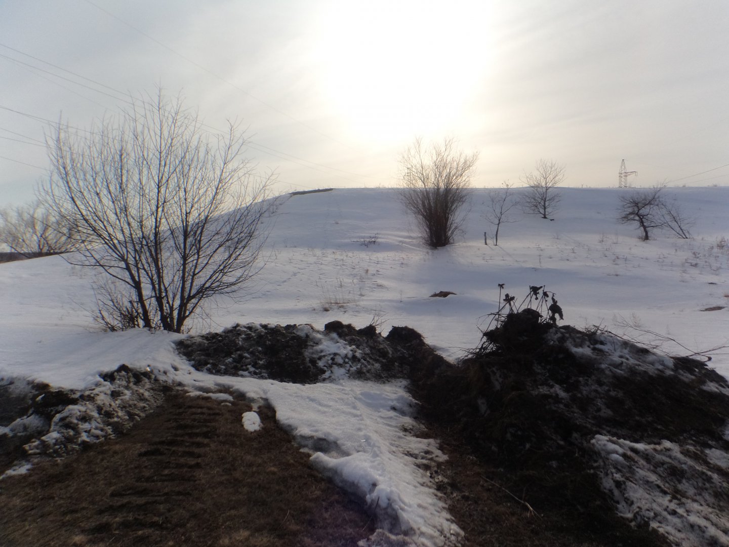 DSC09336.JPG