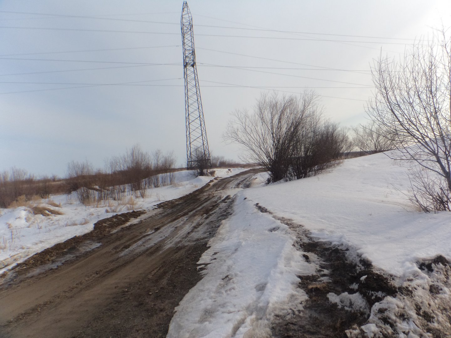 DSC09337.JPG