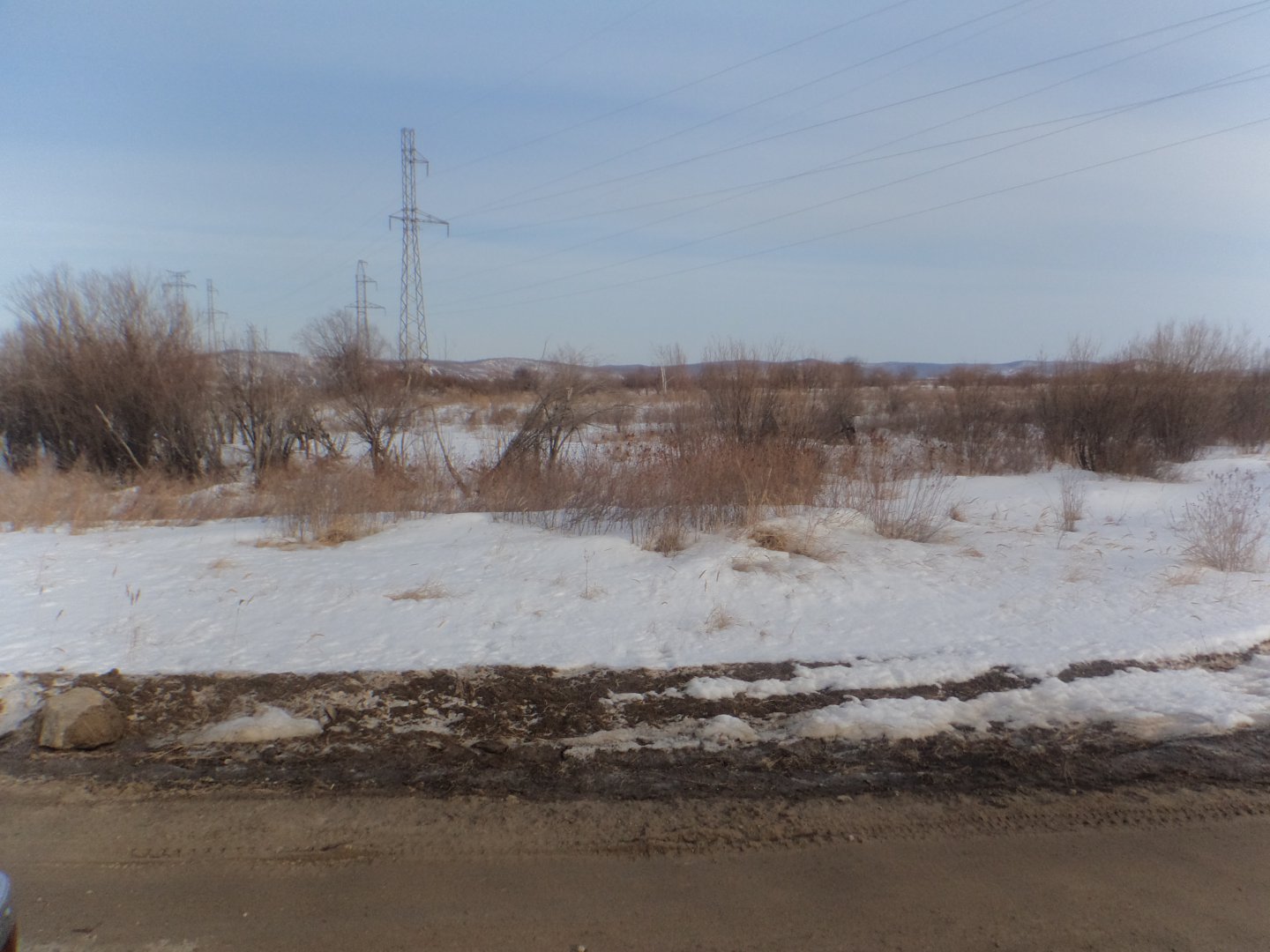 DSC09338.JPG