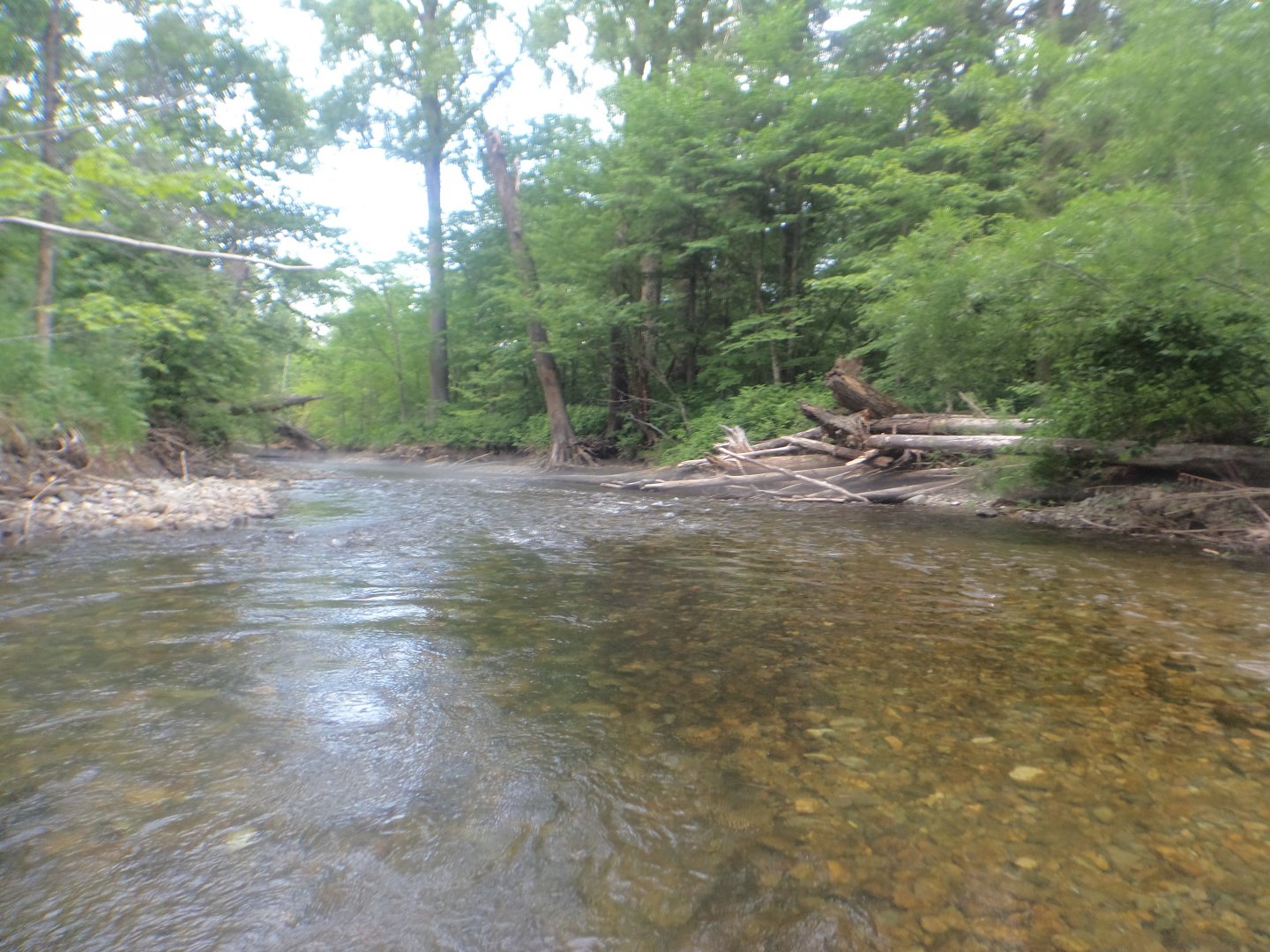 DSC09361.JPG