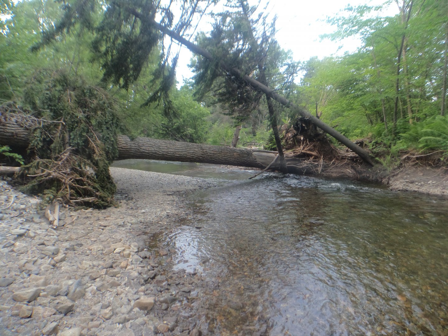 DSC09362.JPG