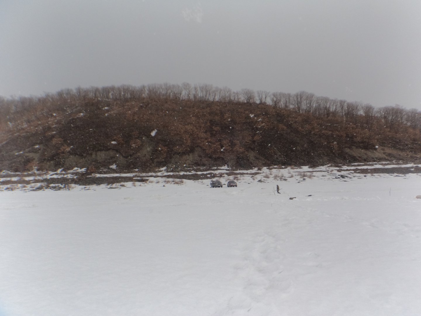 DSC09365.JPG