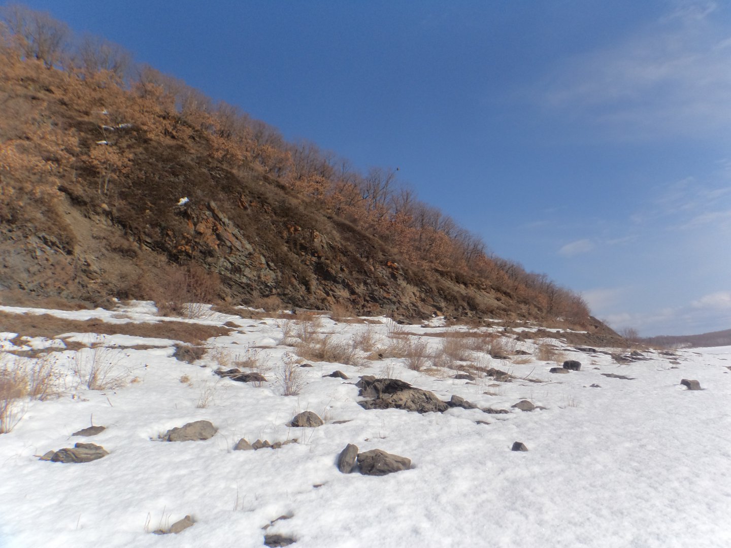 DSC09385.JPG