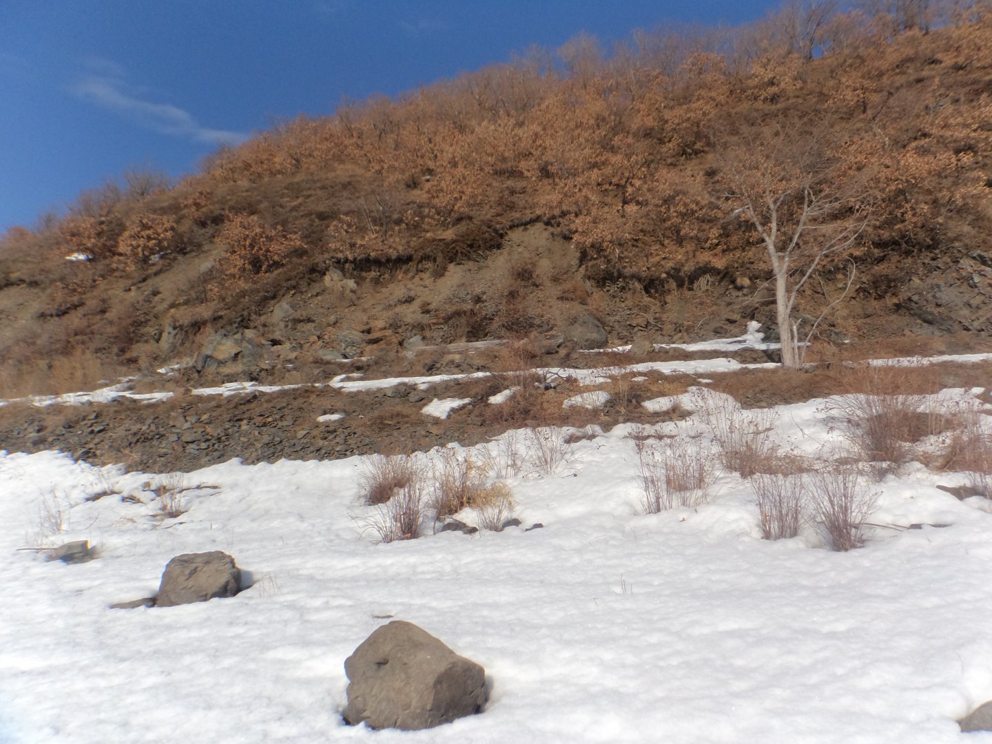 DSC09386.JPG