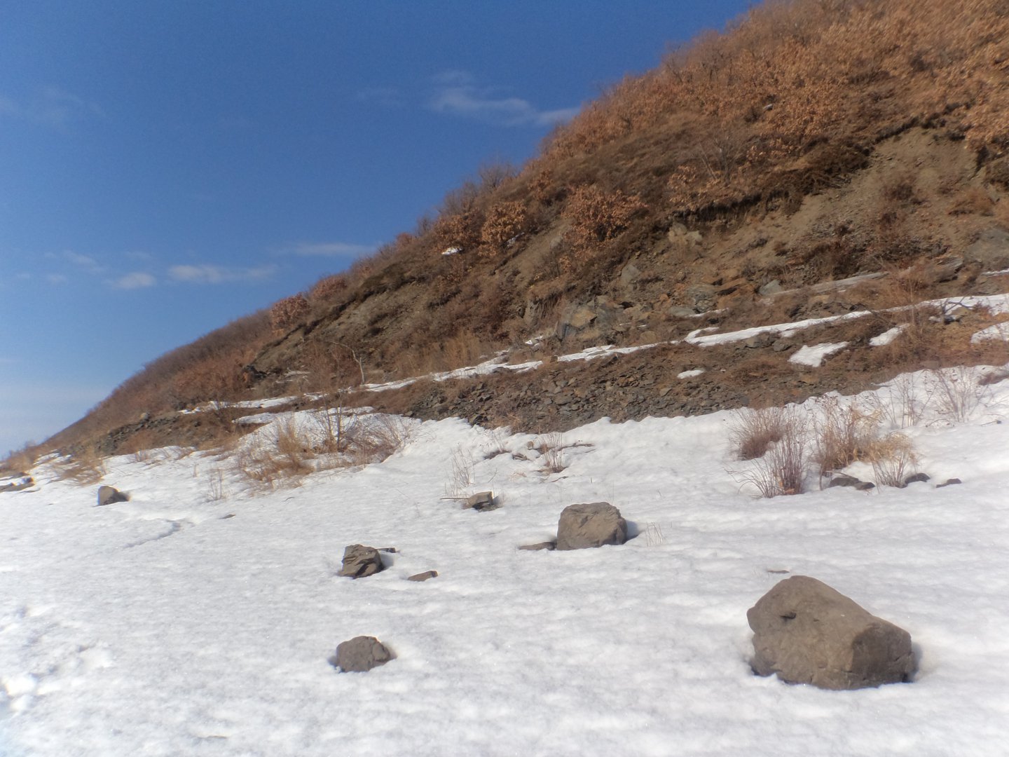 DSC09387.JPG