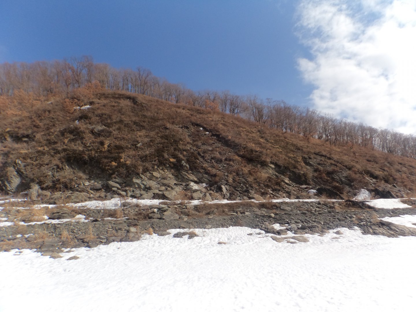 DSC09415.JPG