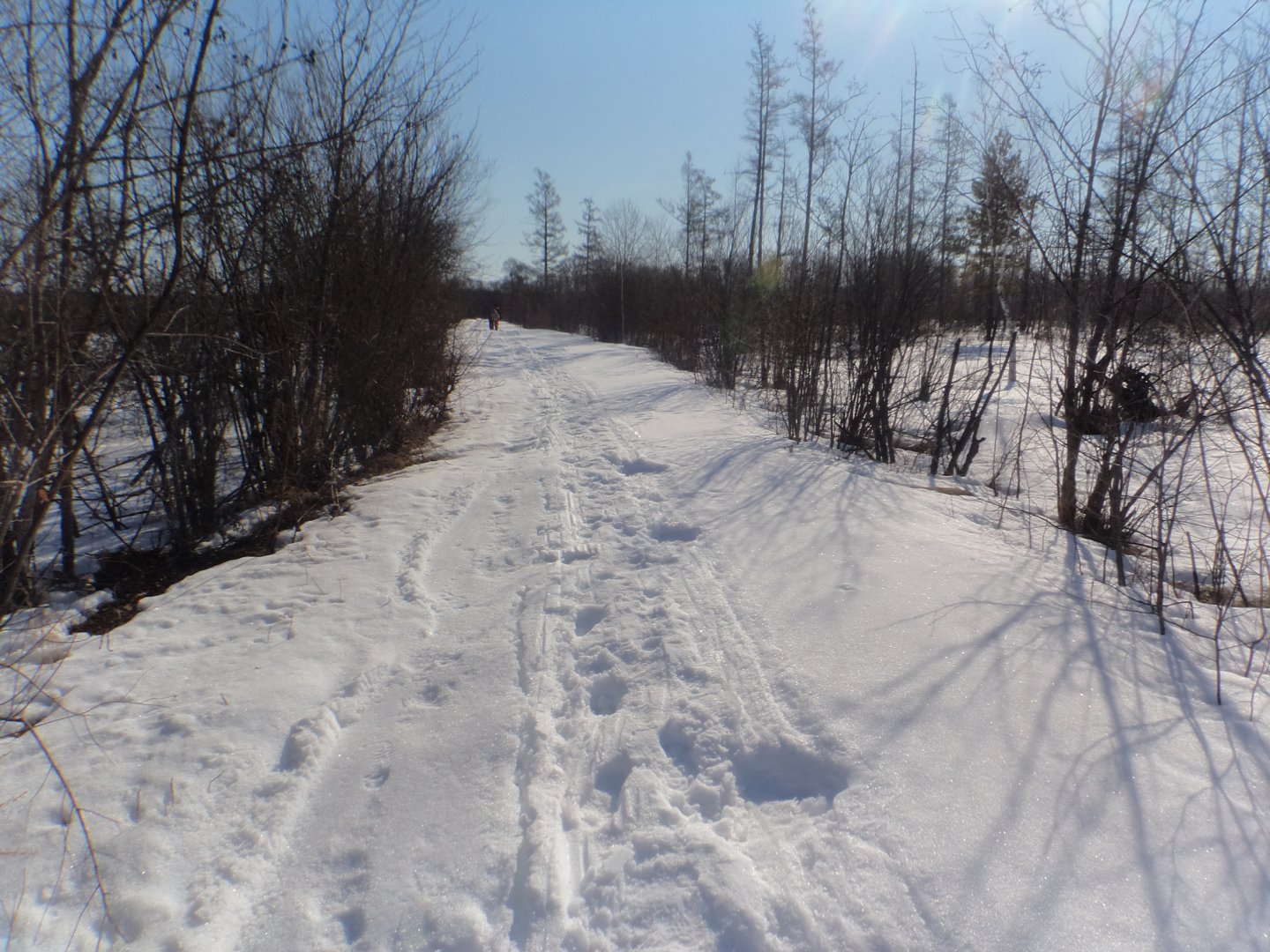 DSC09426.JPG