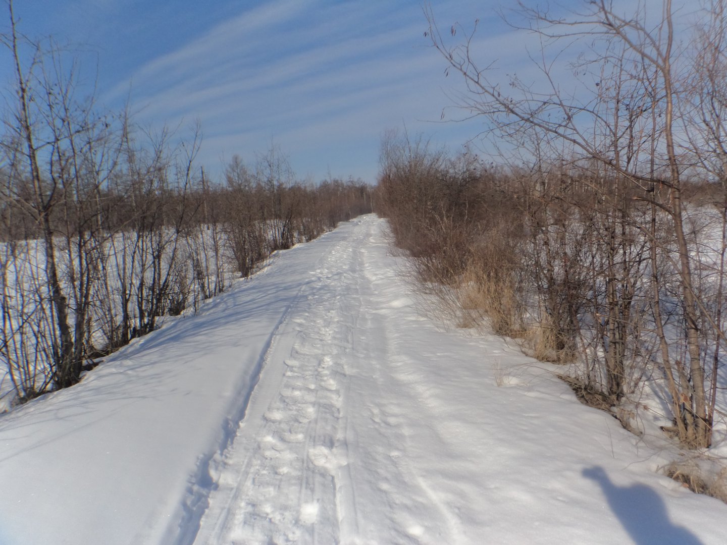 DSC09427.JPG