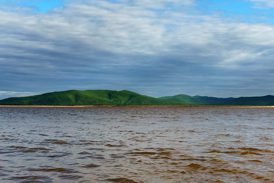 DSC09434.jpg