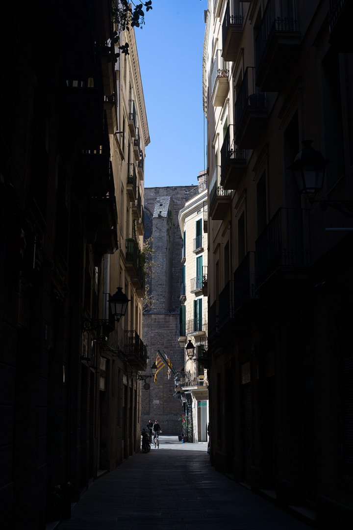 DSC09435.jpg