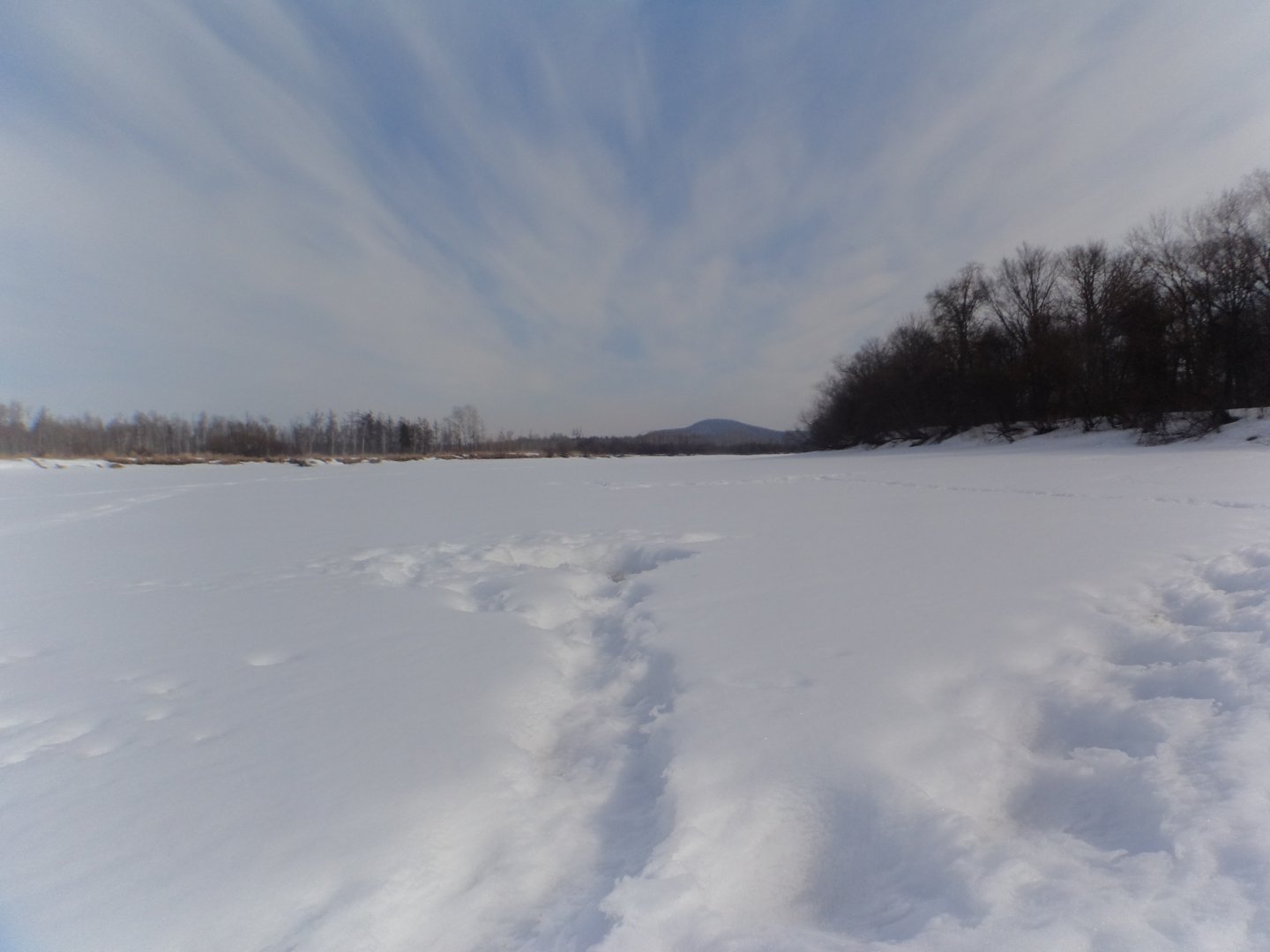 DSC09436.JPG