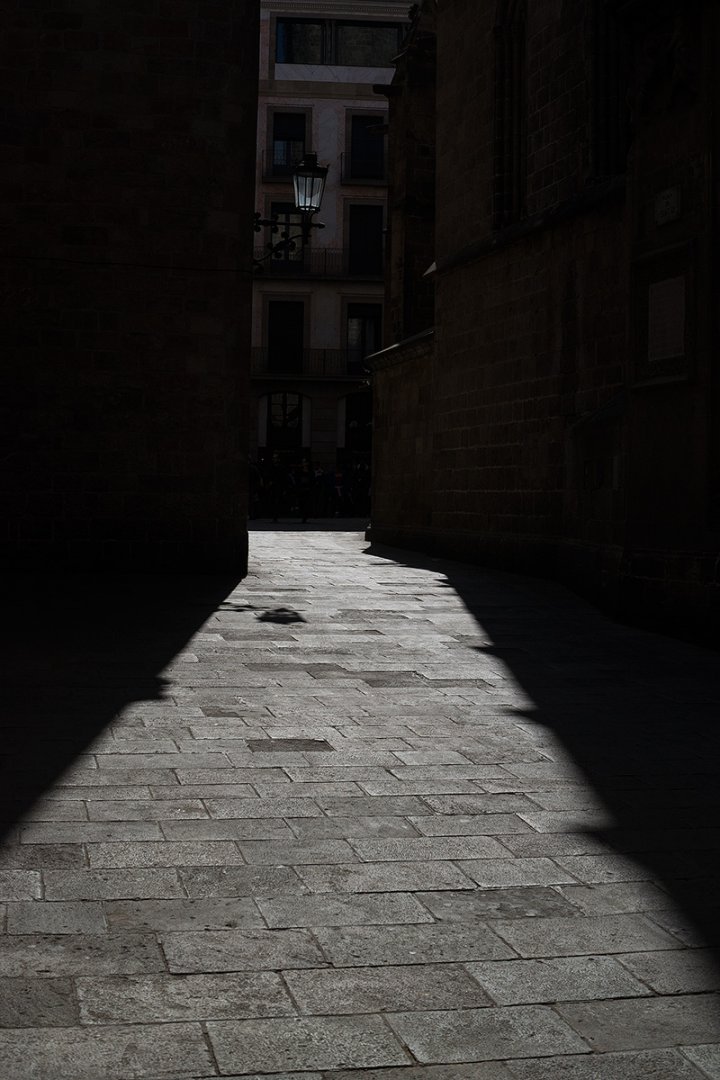 DSC09479.jpg