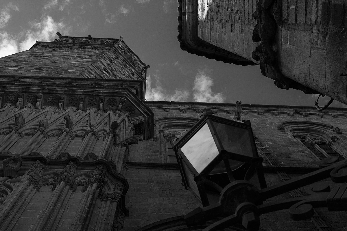 DSC09480.jpg