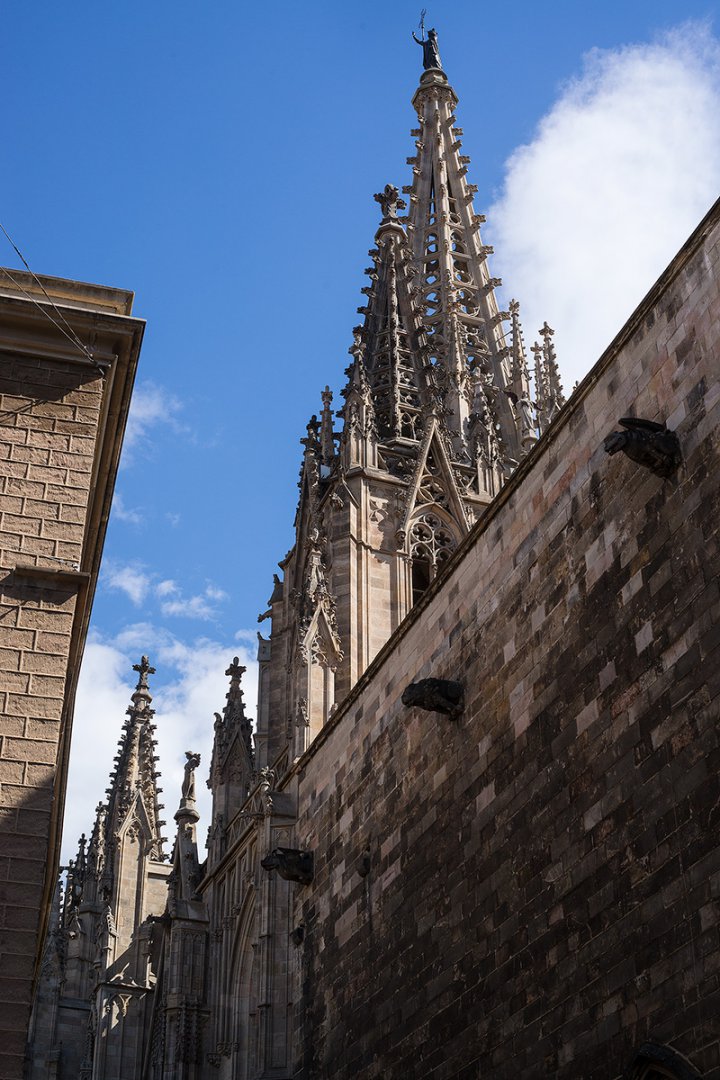 DSC09500.jpg