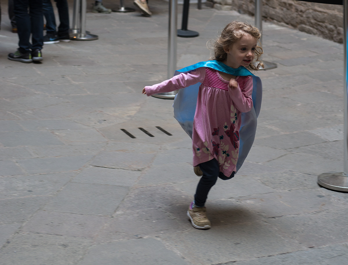 DSC09538.jpg