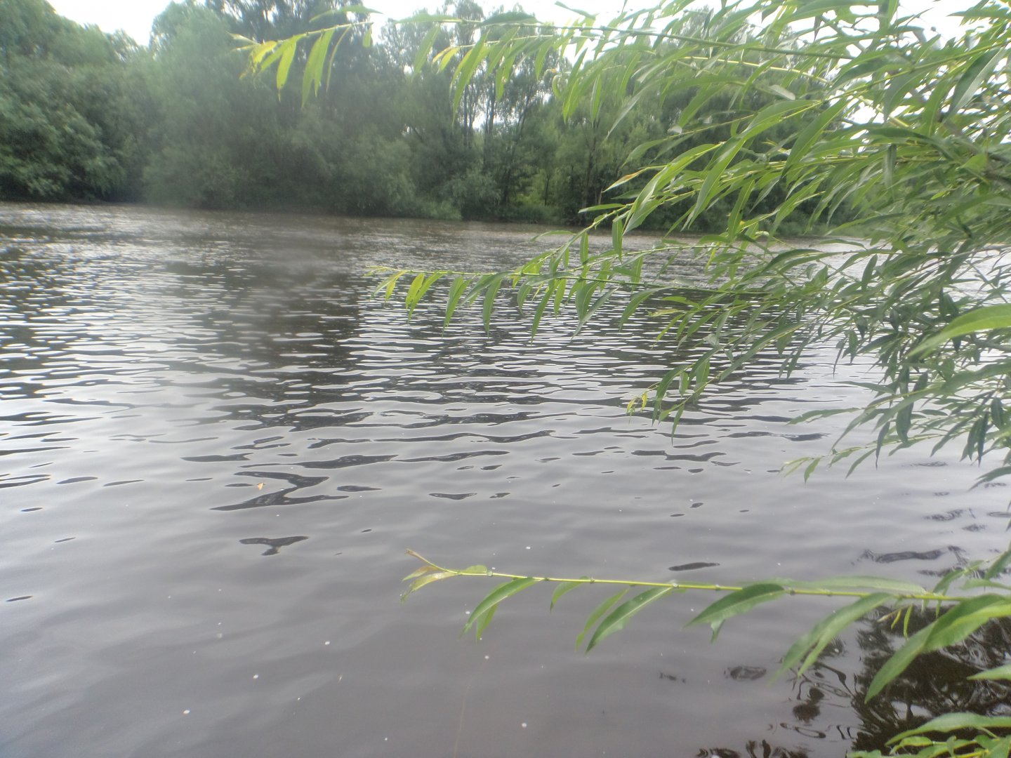 DSC09570.JPG