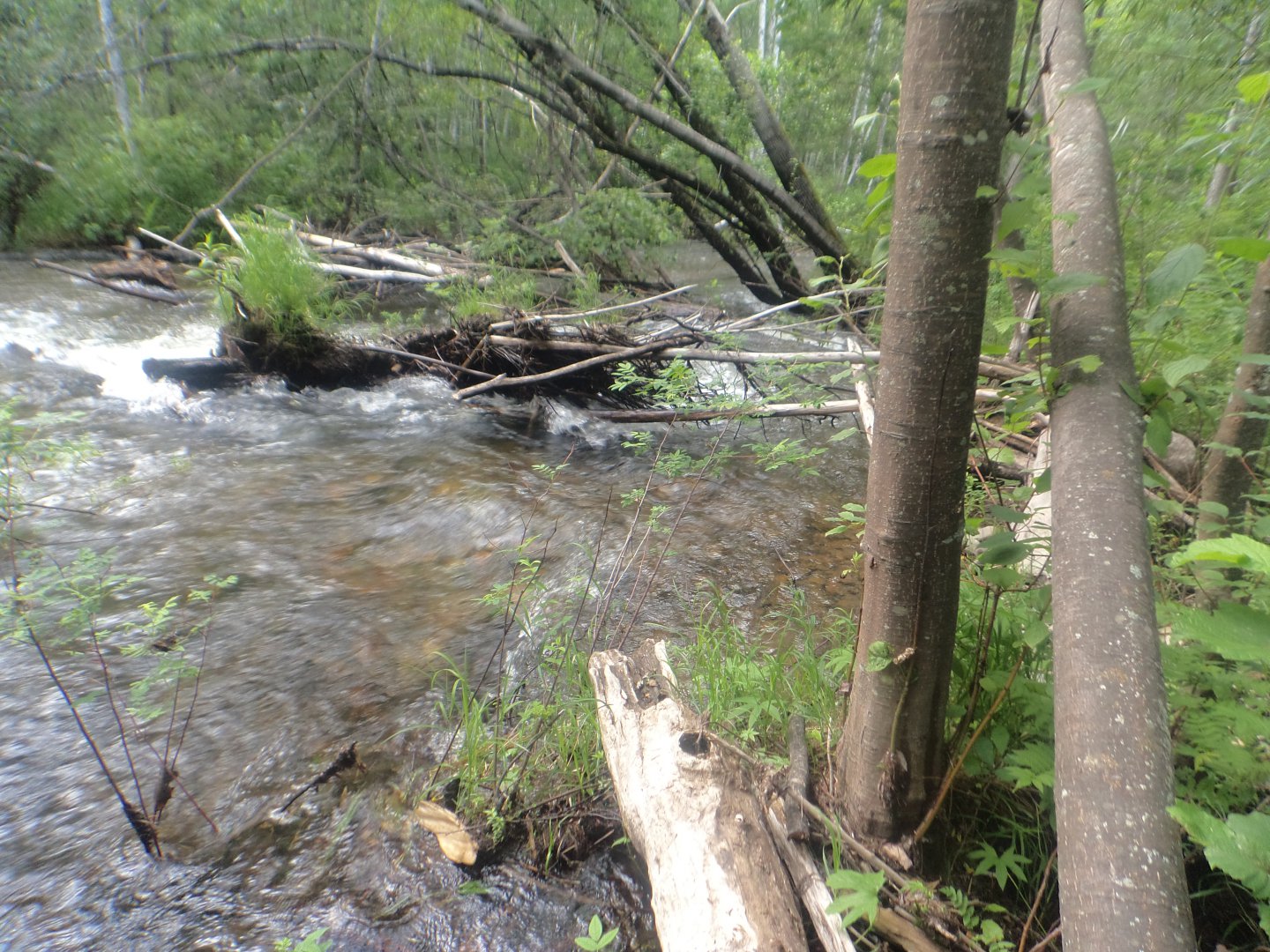 DSC09616.JPG