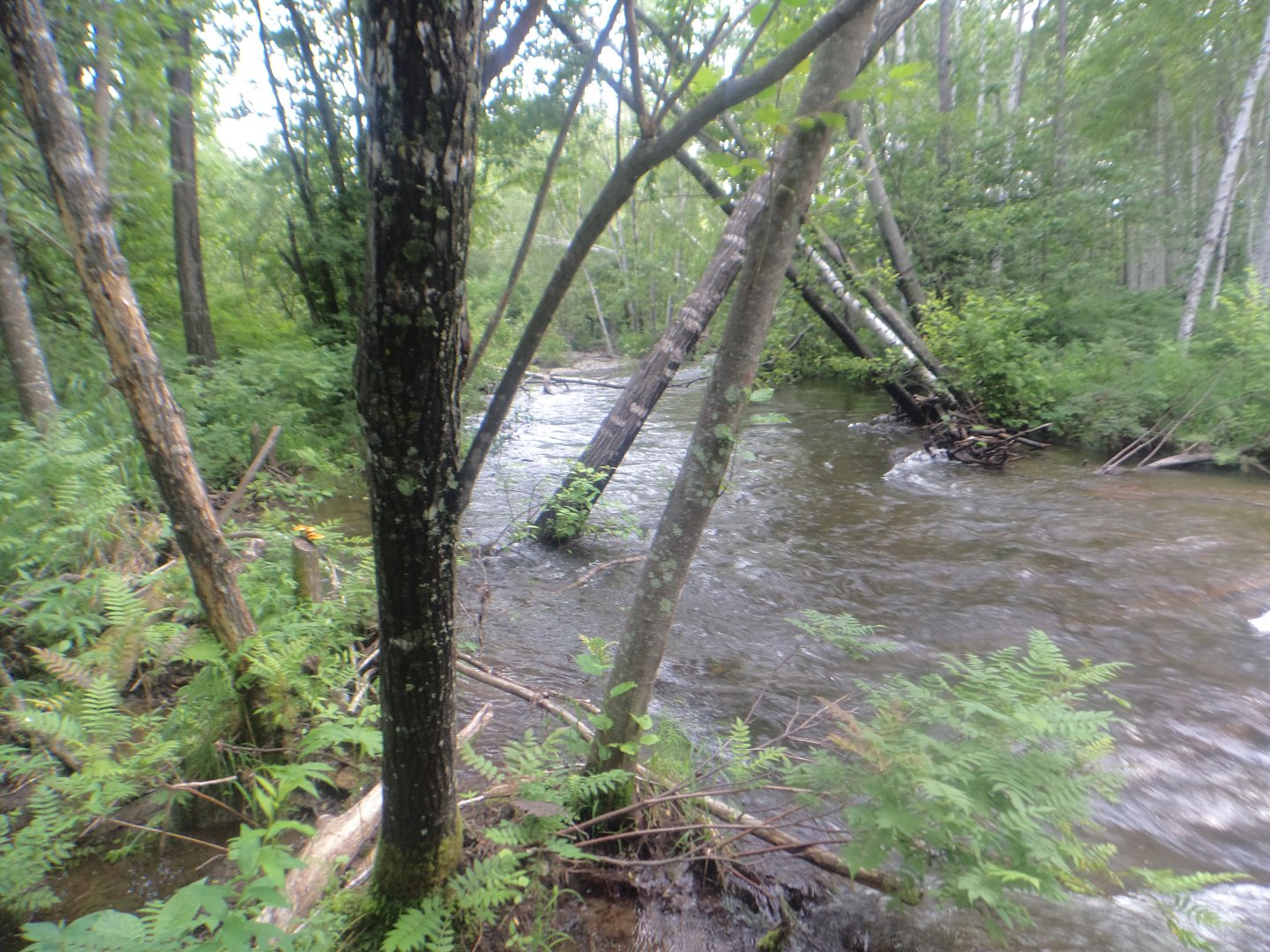 DSC09617.JPG