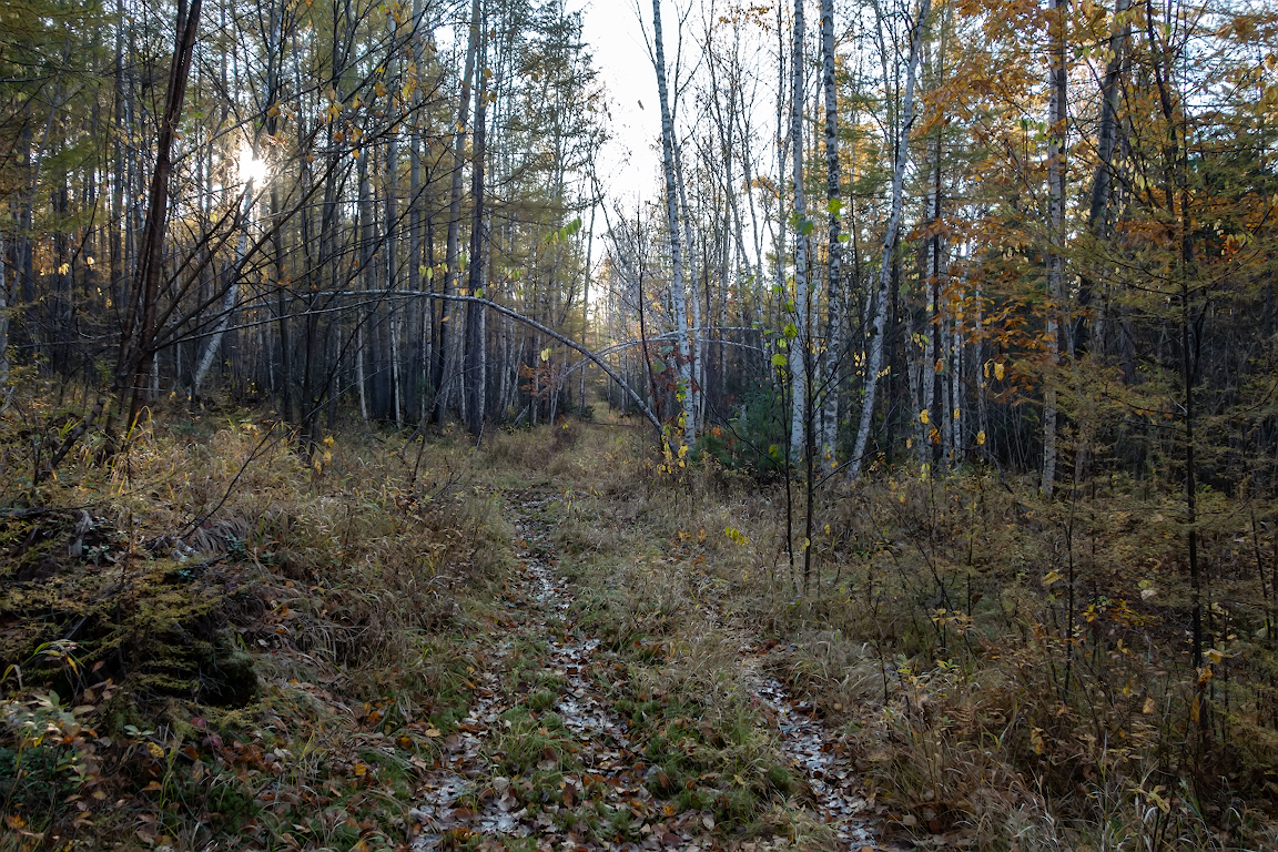 DSC09627.jpg