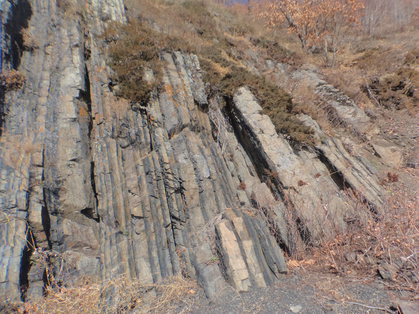 DSC09680.JPG