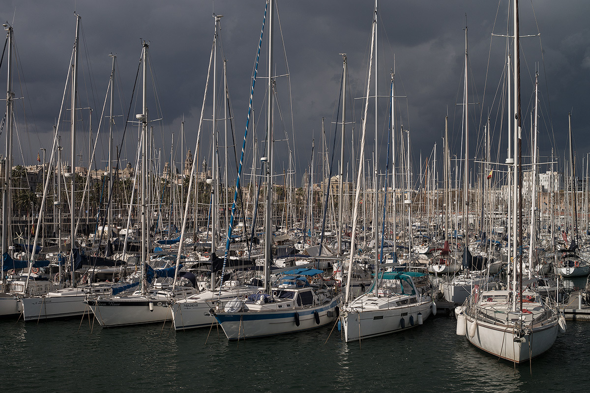 DSC09699.jpg