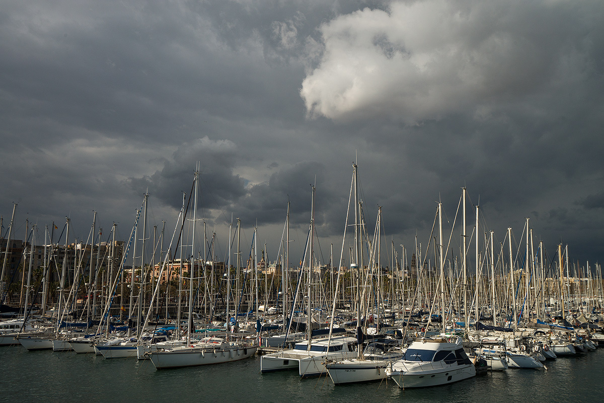 DSC09704.jpg