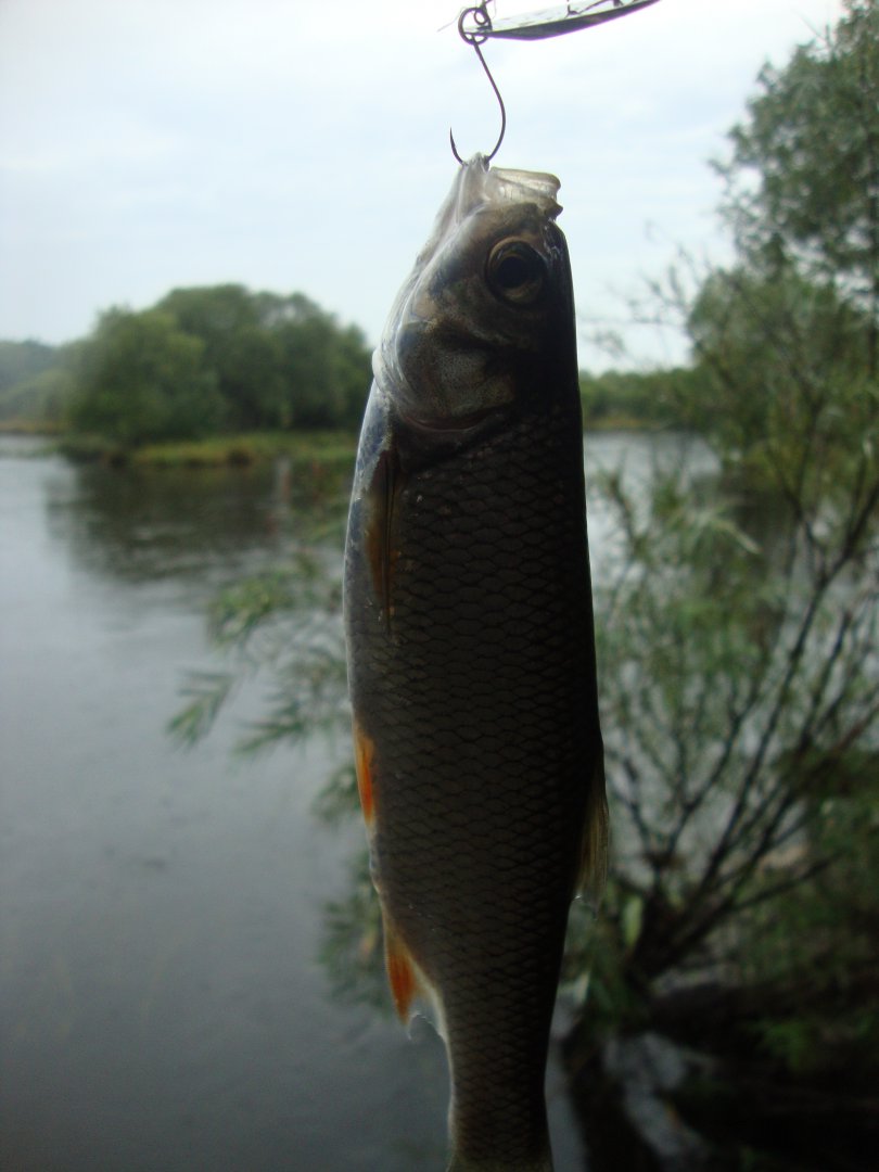 DSC09710.JPG