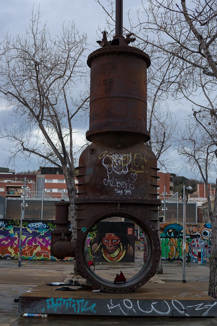 DSC09722.jpg