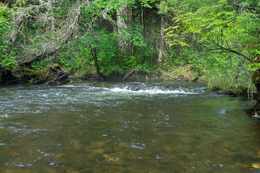 DSC09807.jpg