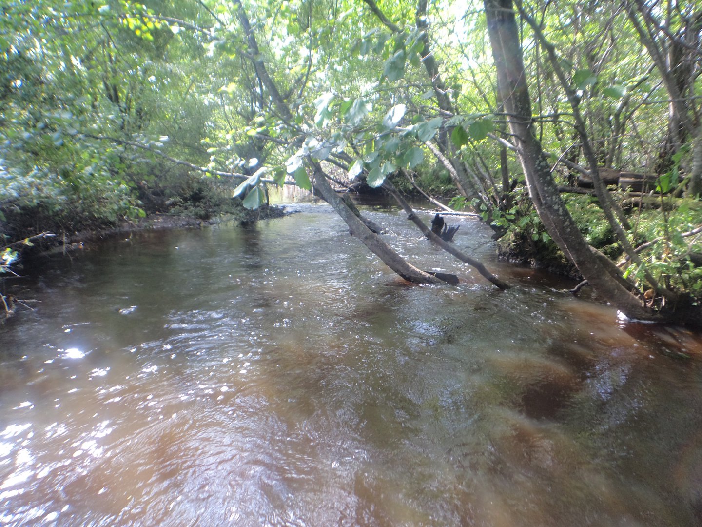 DSC09854.JPG