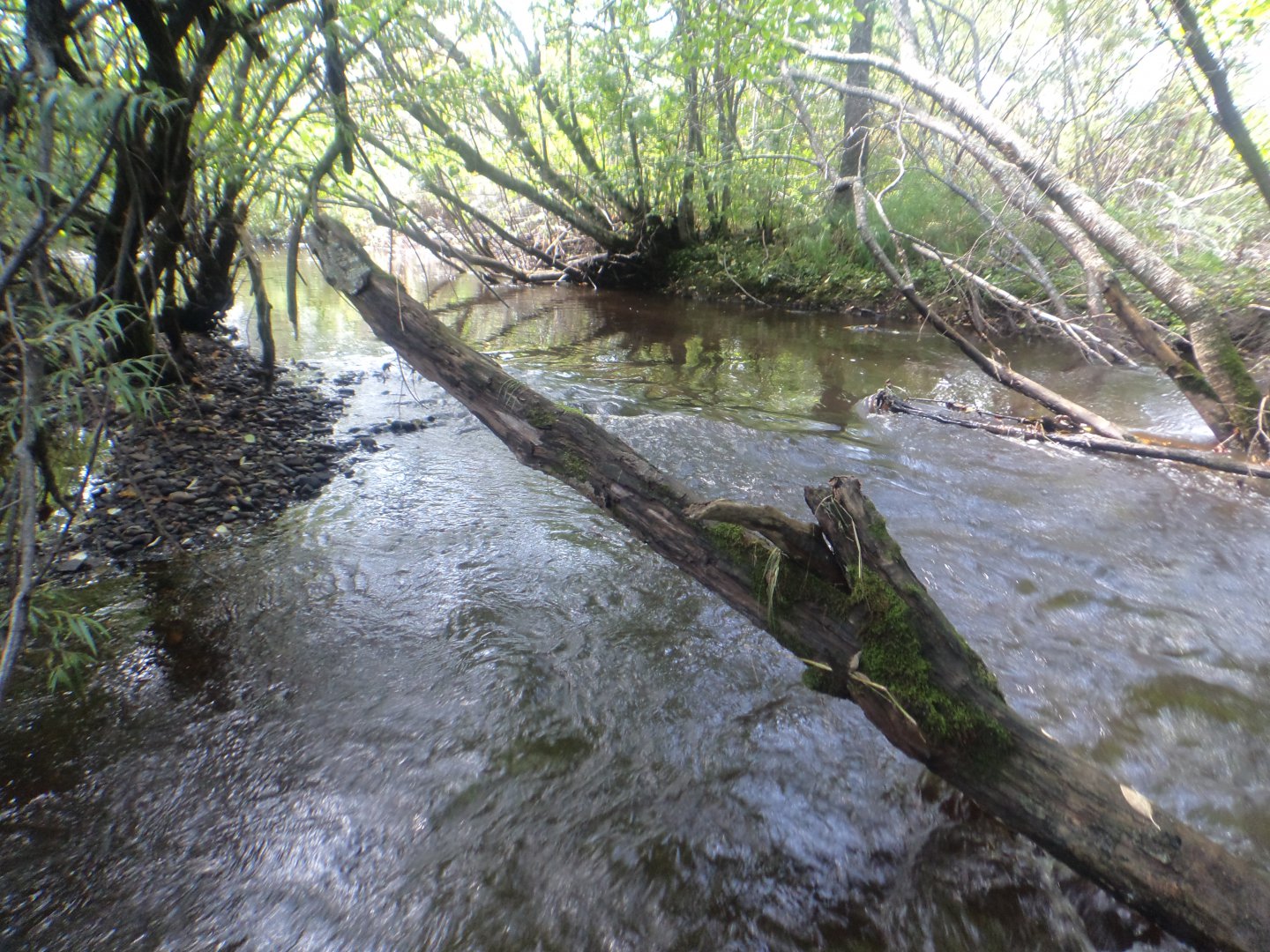 DSC09855.JPG
