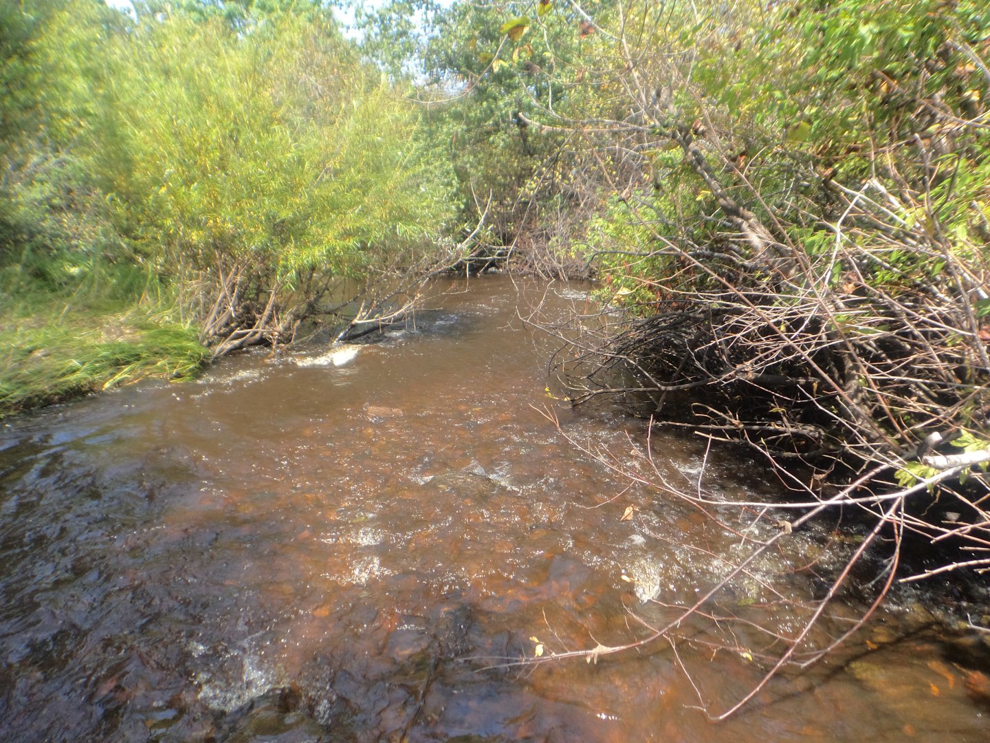 DSC09863.JPG