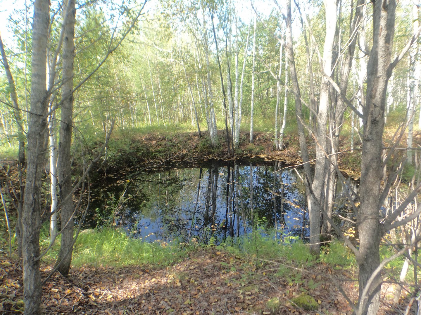 DSC09872.JPG