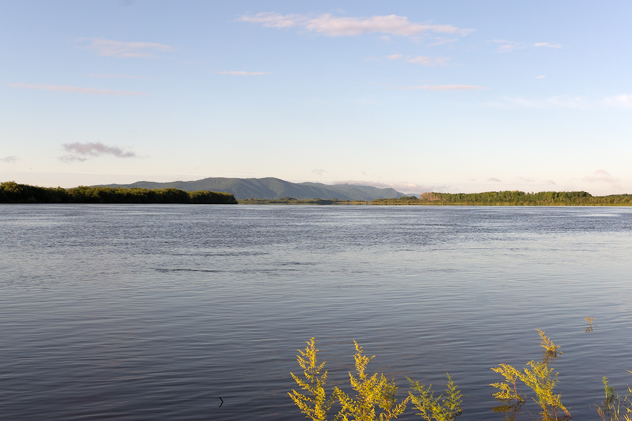 DSC09889.jpg