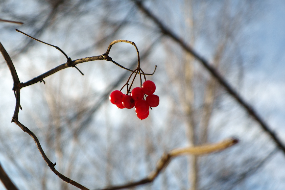DSC09915.jpg