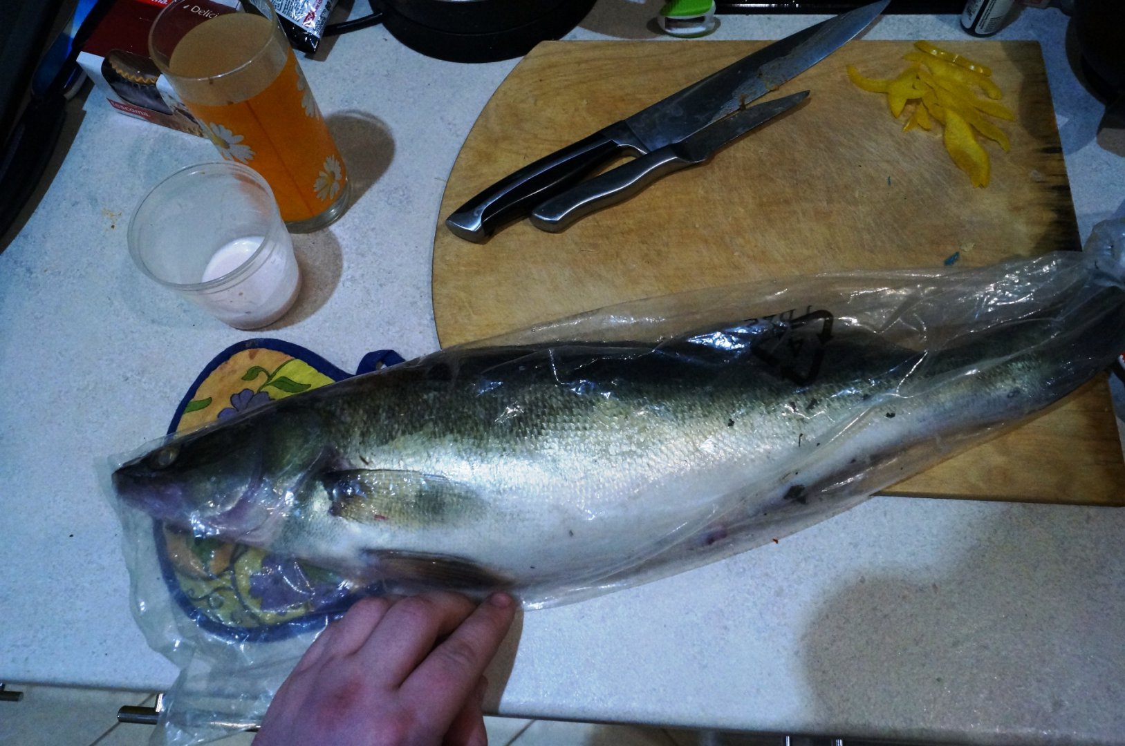 DSC09931.JPG