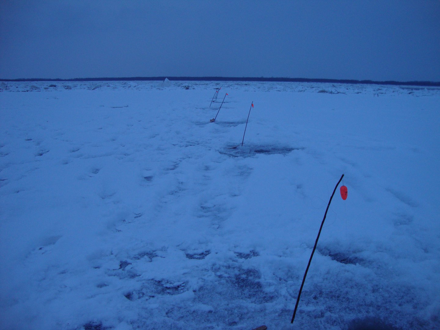 DSC09944.JPG