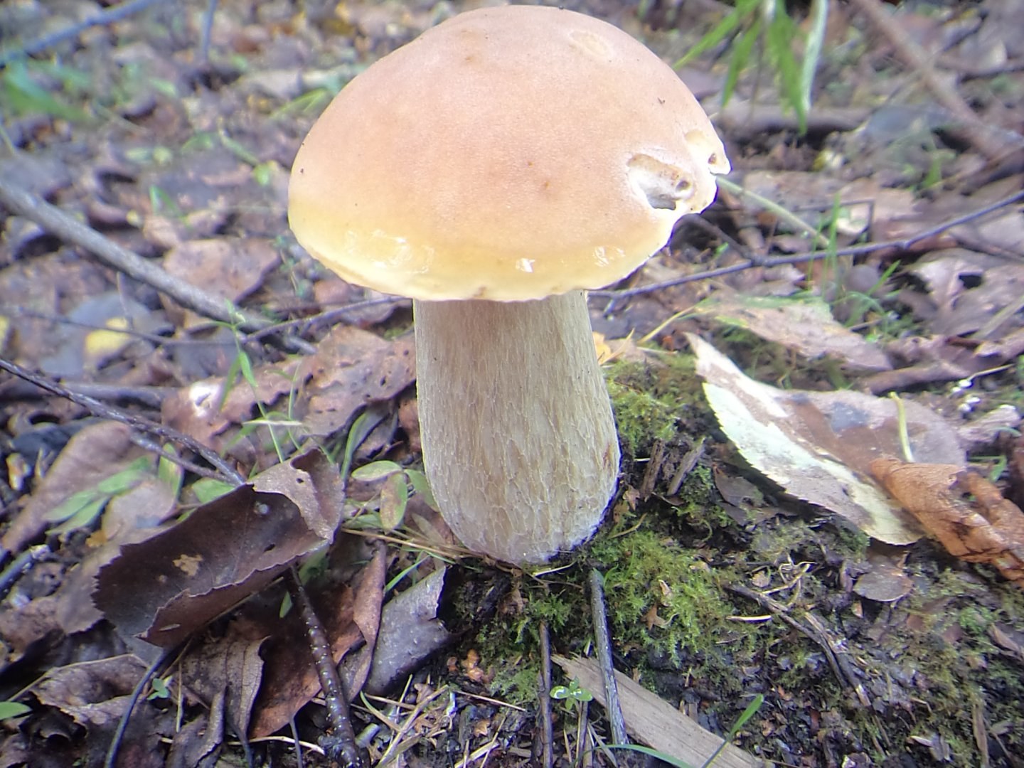 DSC09975.JPG