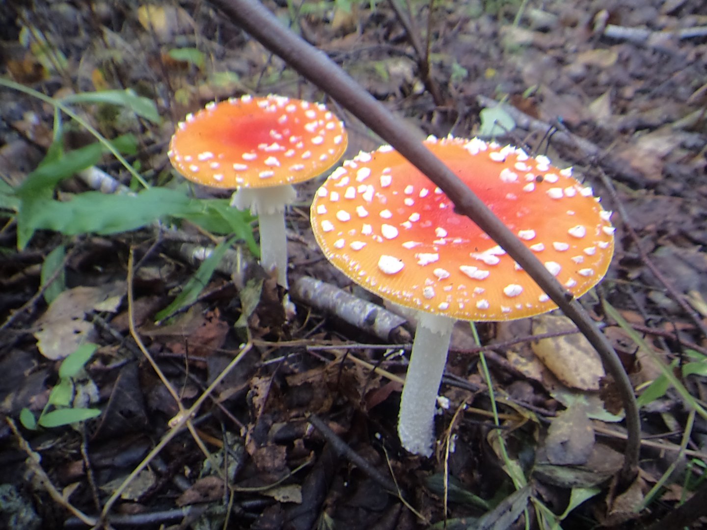 DSC09979.JPG