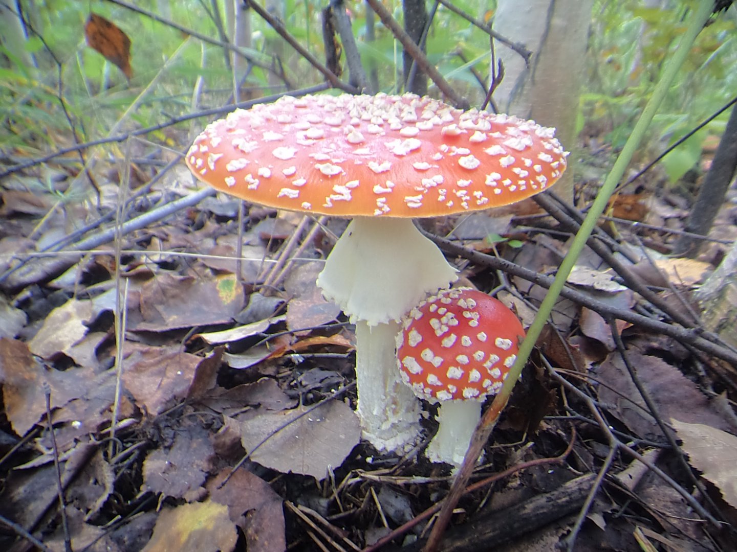 DSC09989.JPG