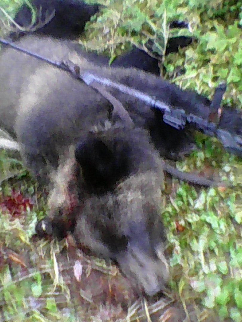 DSC_0000020.jpg